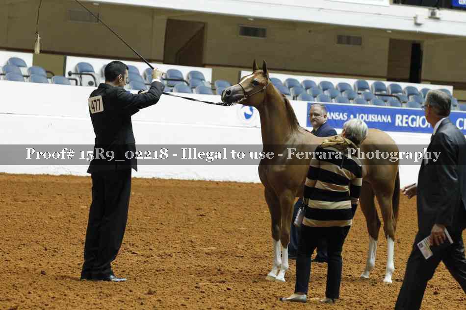 Proof 15R9_02218