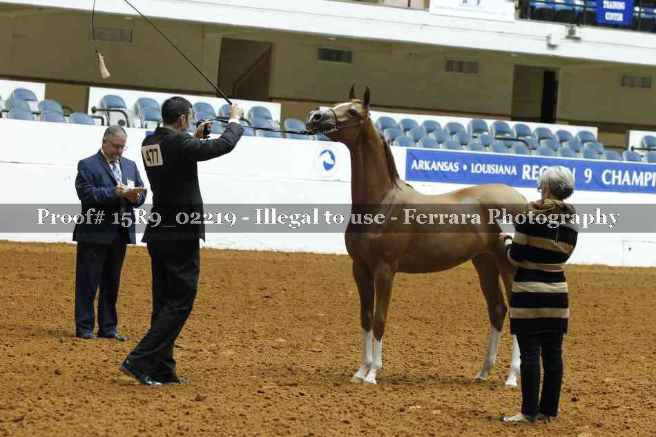 Proof 15R9_02219