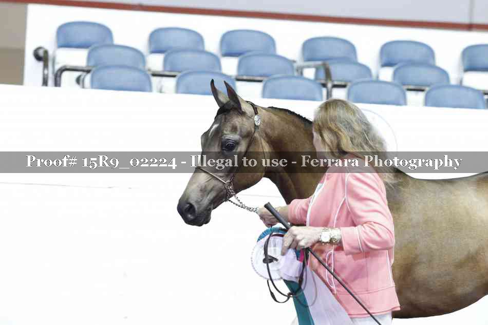 Proof 15R9_02224