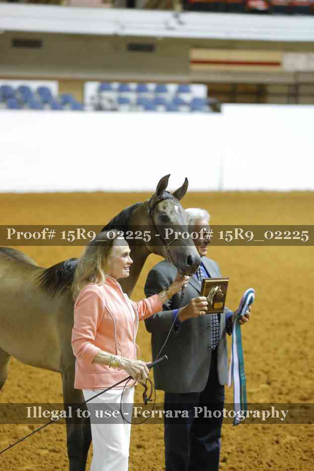 Proof 15R9_02225