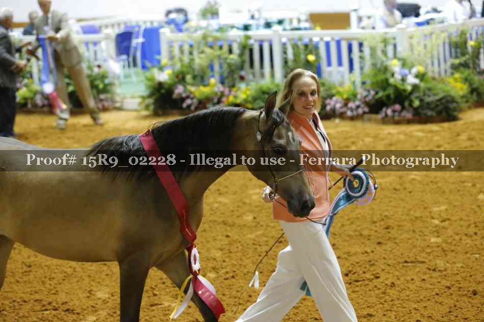 Proof 15R9_02228