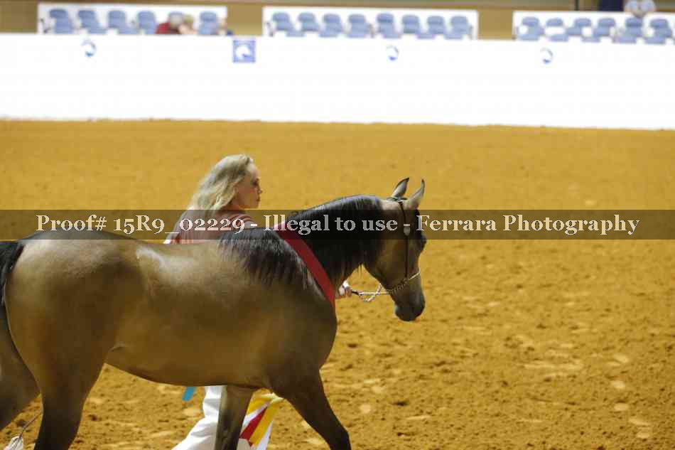 Proof 15R9_02229