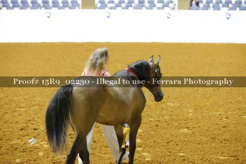 Proof 15R9_02230