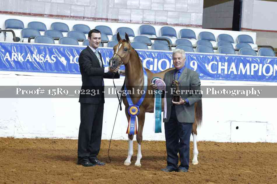 Proof 15R9_02231