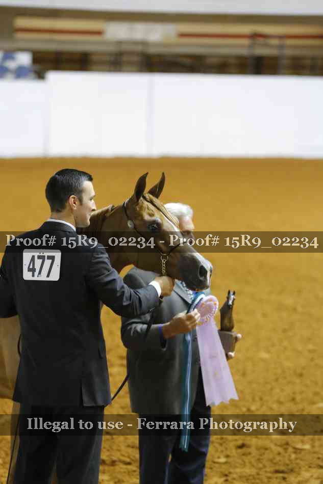 Proof 15R9_02234