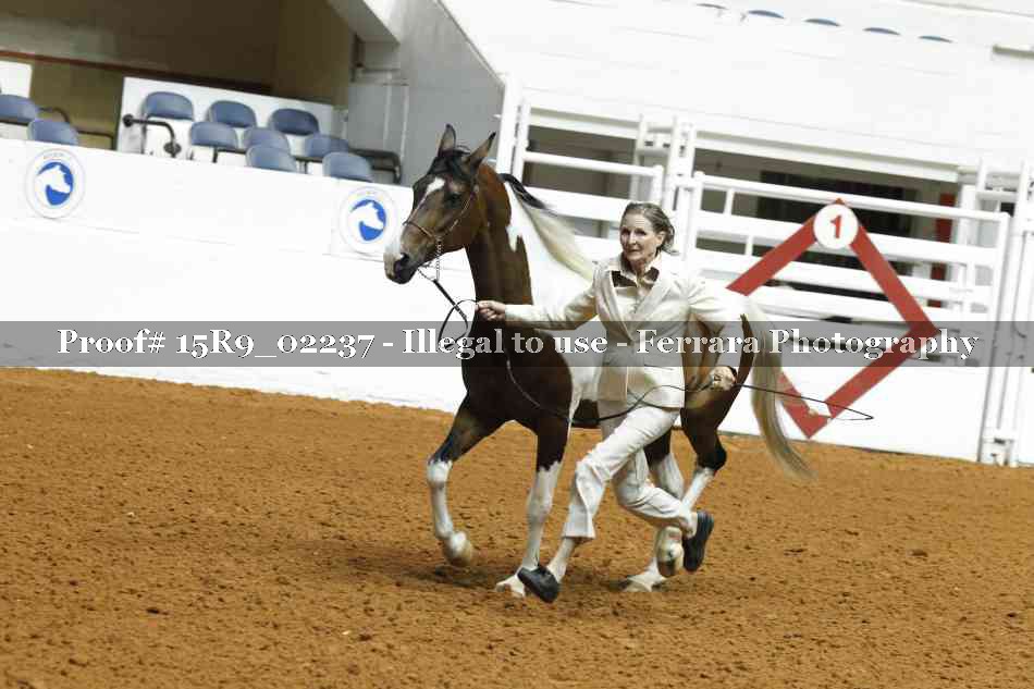 Proof 15R9_02237
