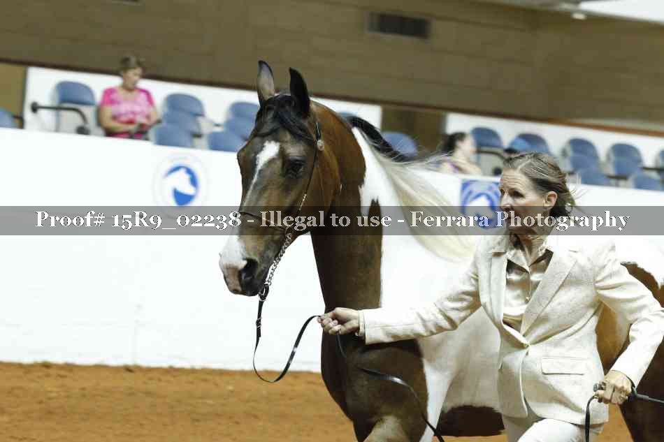 Proof 15R9_02238