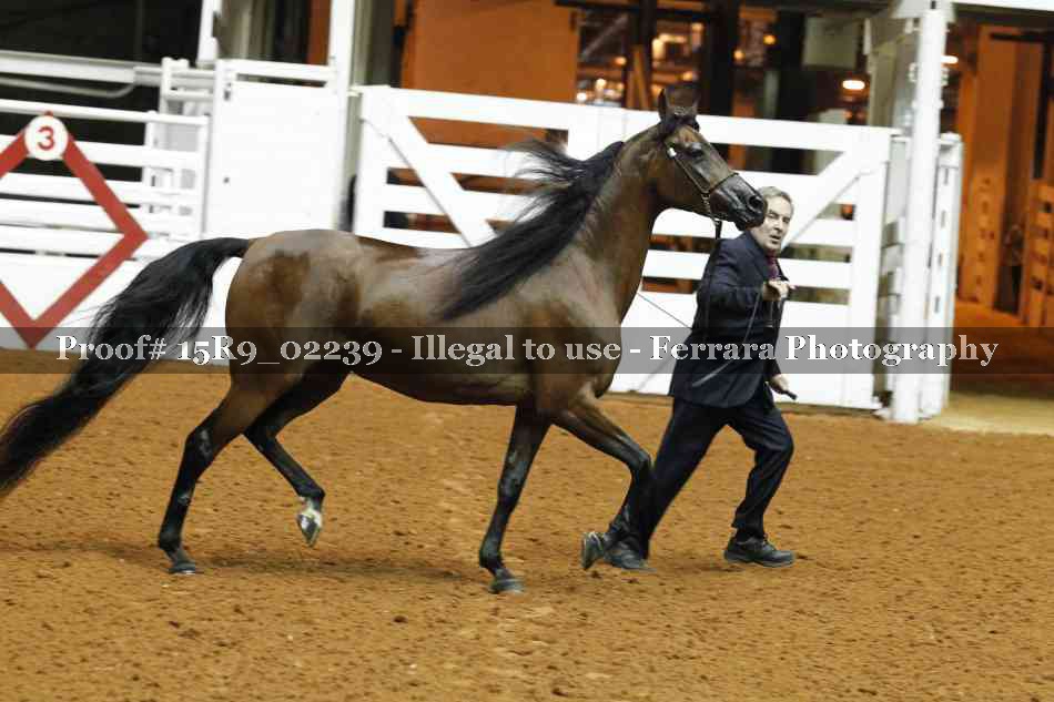 Proof 15R9_02239
