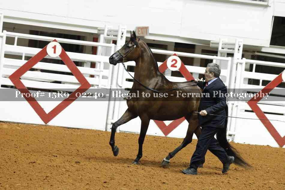 Proof 15R9_02240