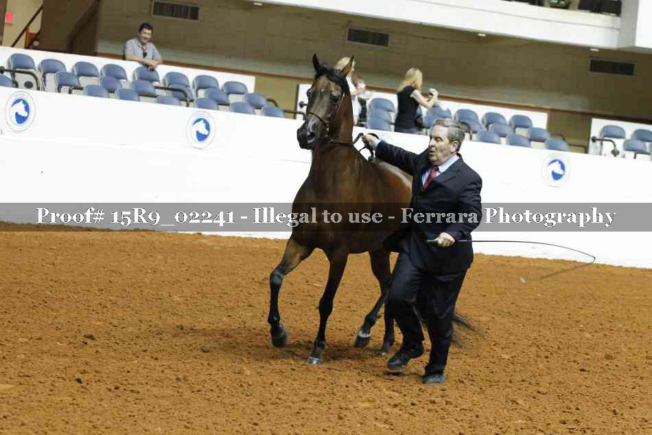 Proof 15R9_02241