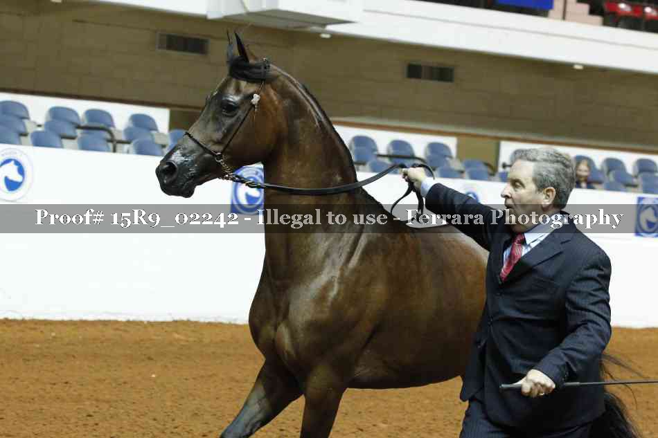 Proof 15R9_02242