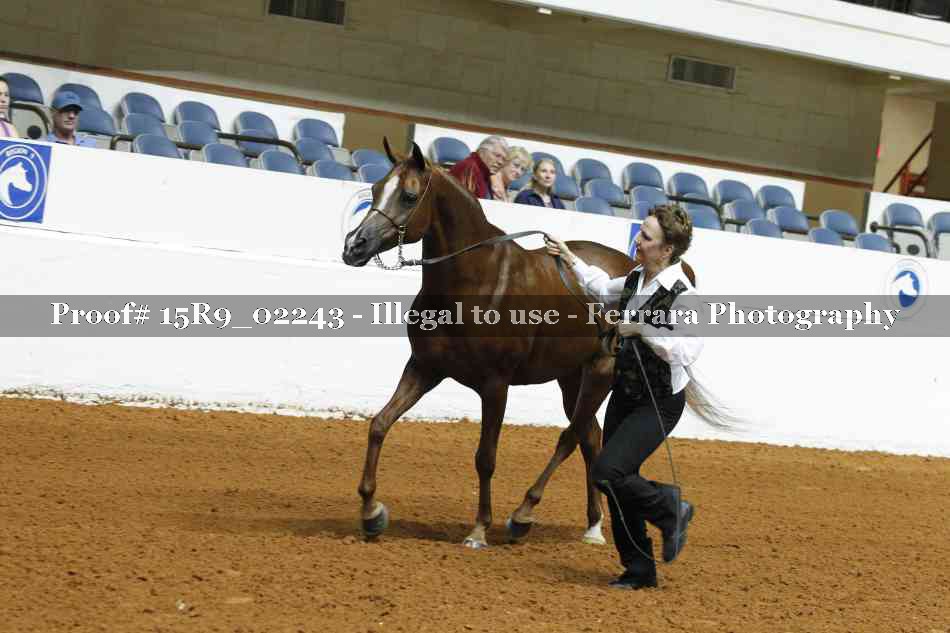 Proof 15R9_02243