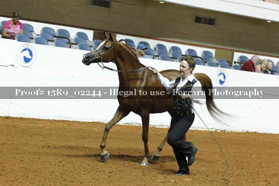 Proof 15R9_02244