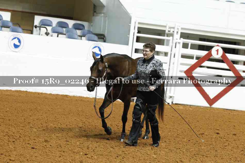Proof 15R9_02246
