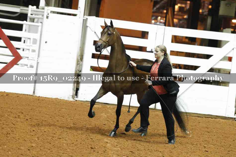 Proof 15R9_02249
