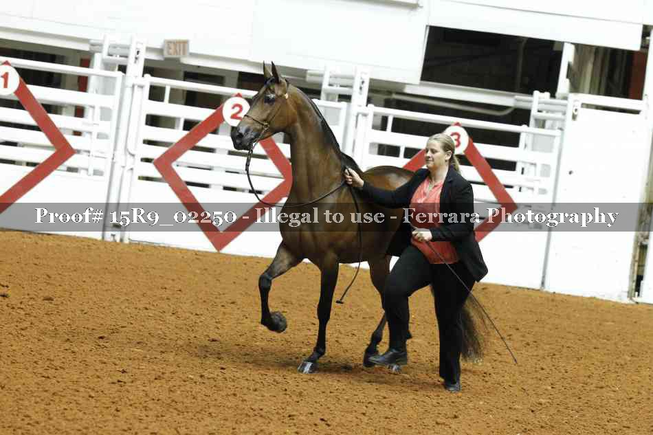 Proof 15R9_02250