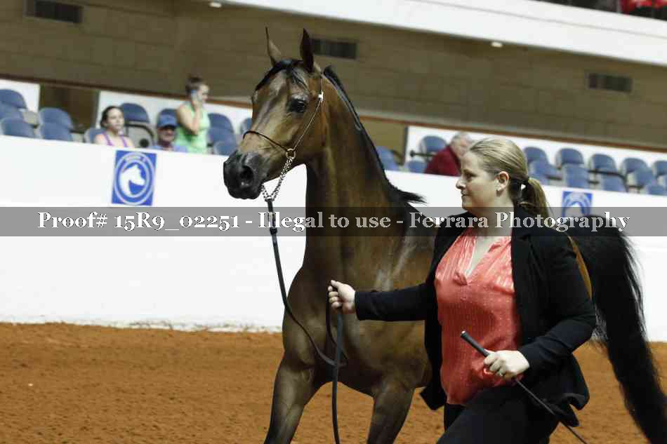 Proof 15R9_02251