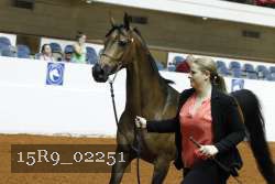 15R9_02251 proof