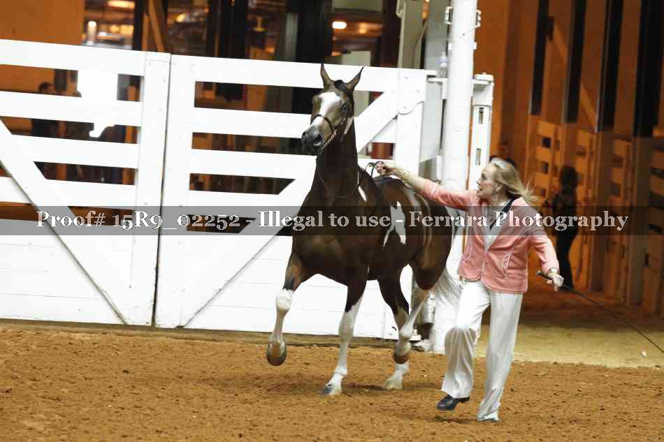 Proof 15R9_02252