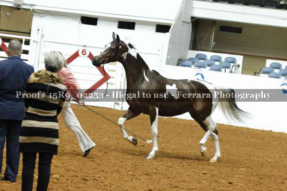 Proof 15R9_02253