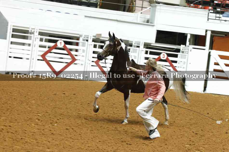 Proof 15R9_02254