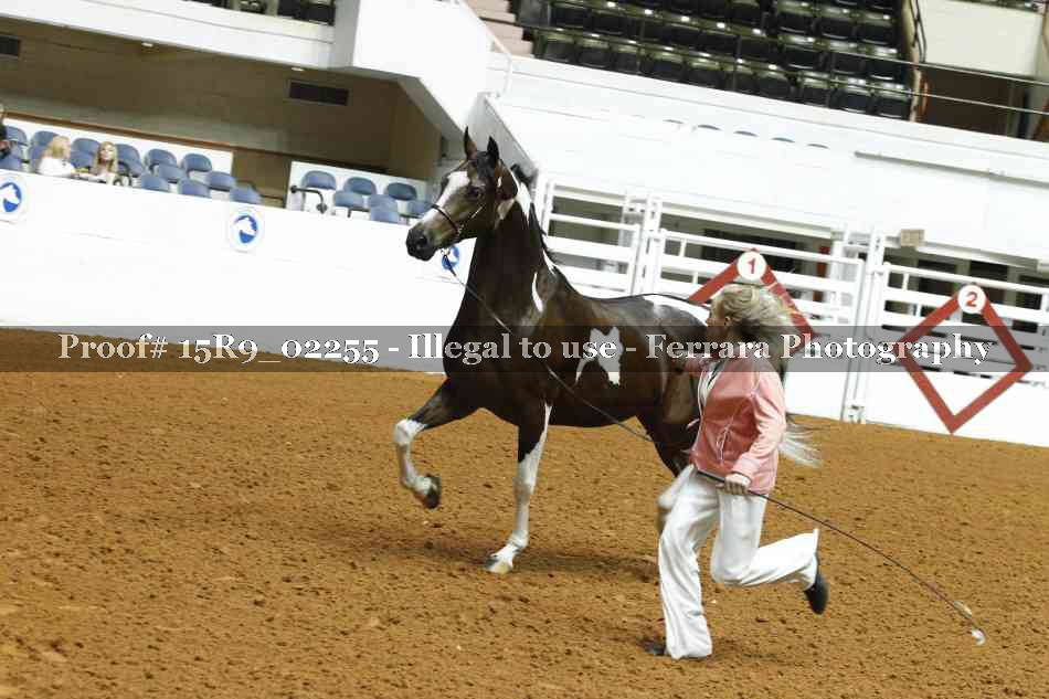 Proof 15R9_02255