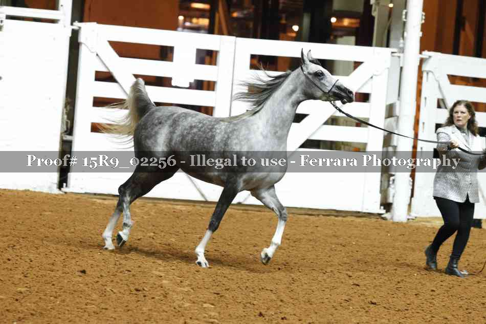 Proof 15R9_02256