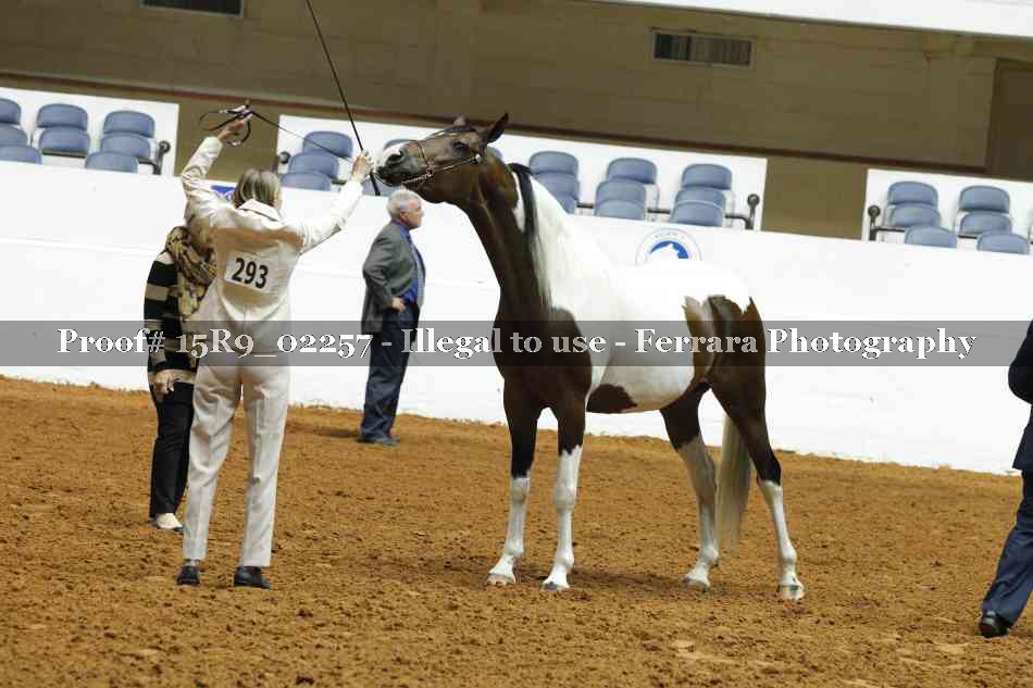 Proof 15R9_02257