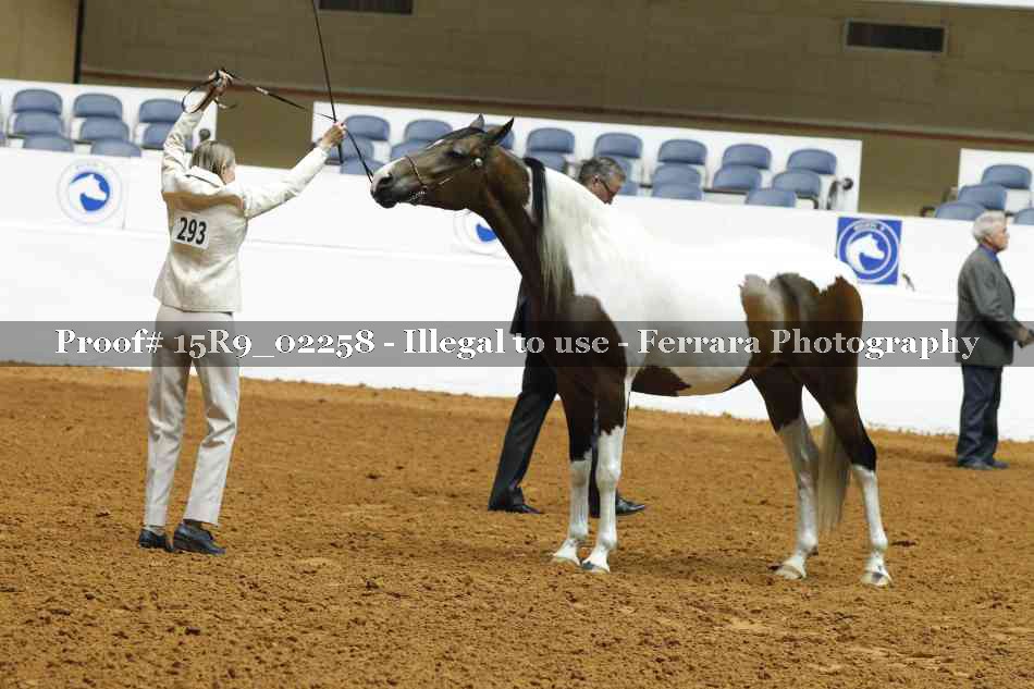 Proof 15R9_02258