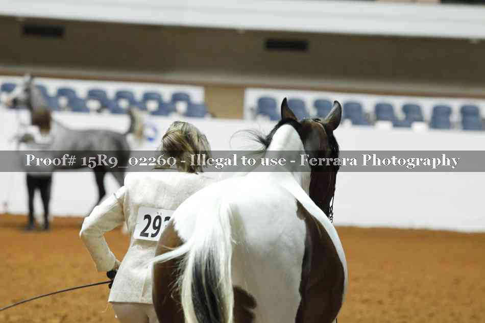 Proof 15R9_02260