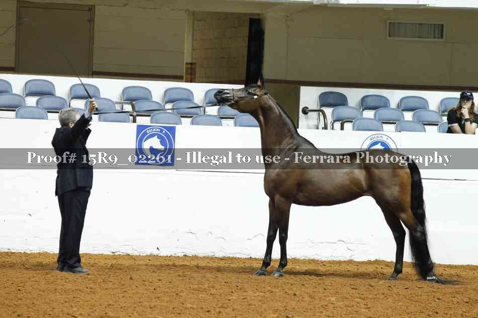 Proof 15R9_02261