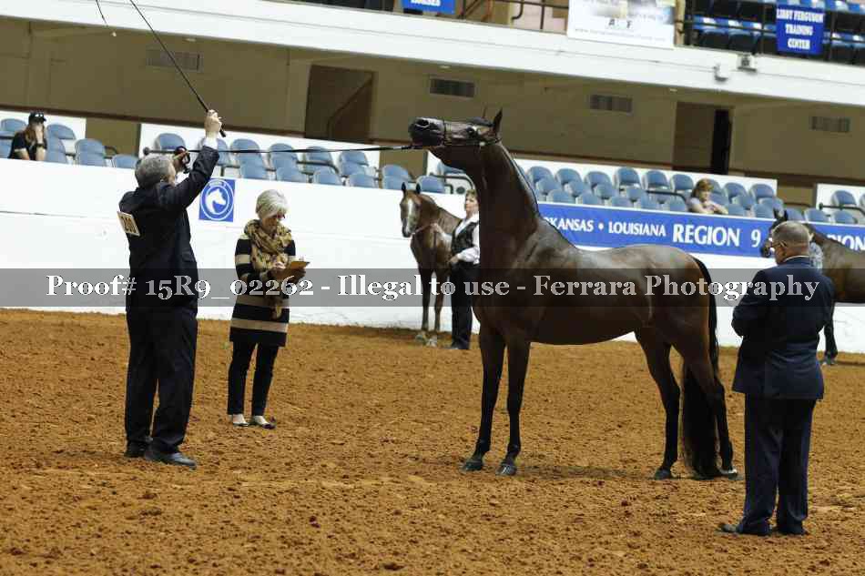 Proof 15R9_02262