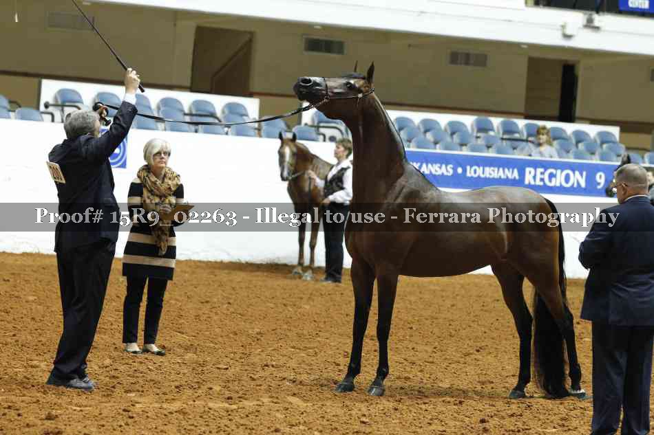 Proof 15R9_02263