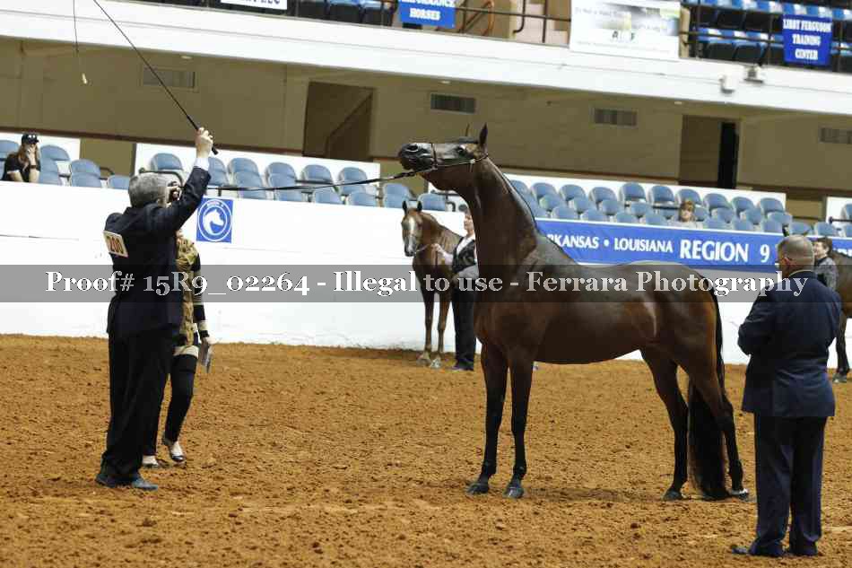 Proof 15R9_02264