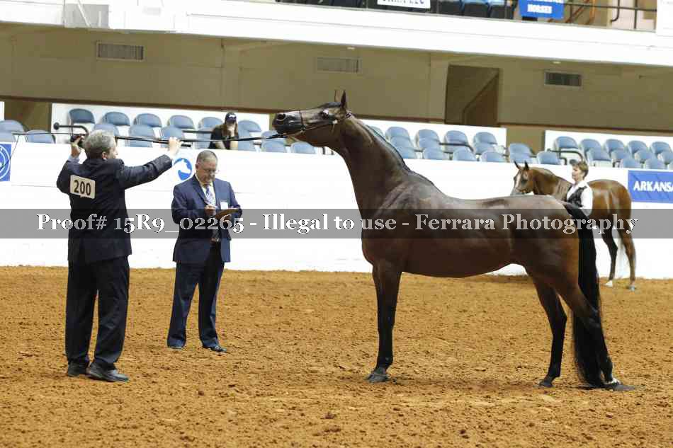 Proof 15R9_02265