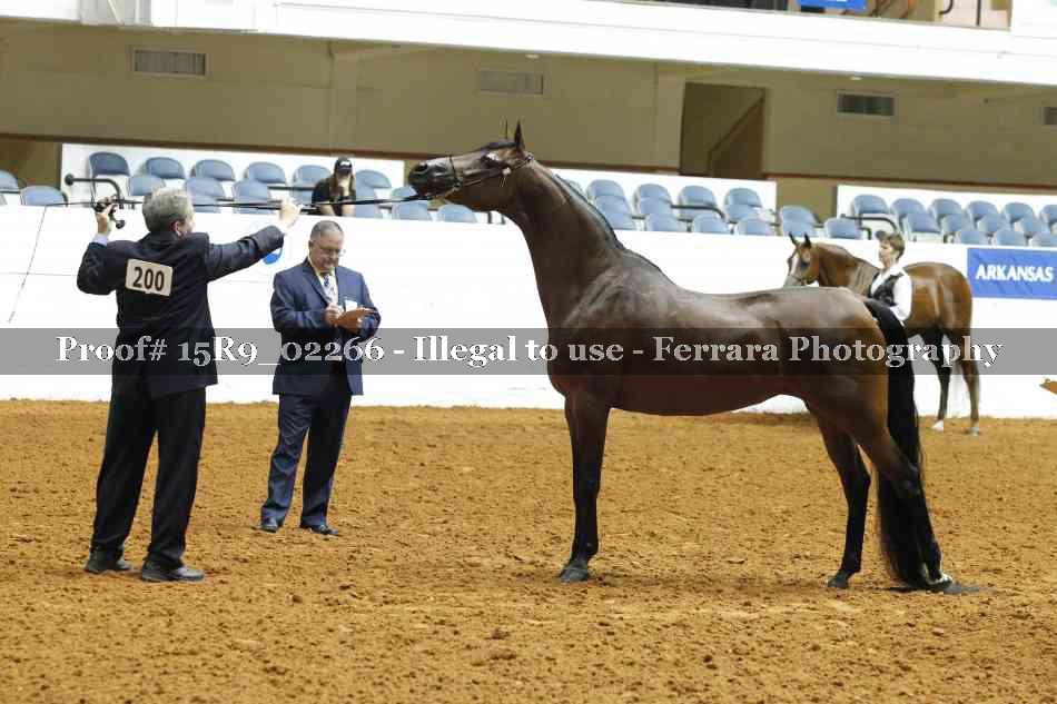 Proof 15R9_02266