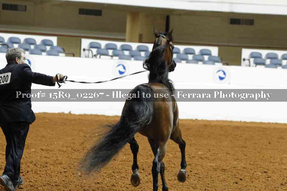 Proof 15R9_02267