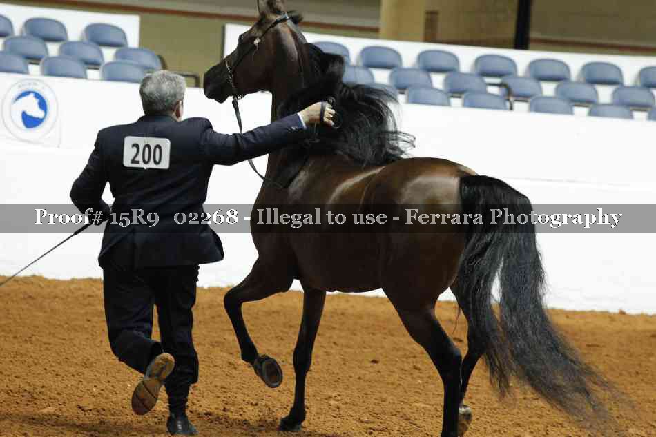 Proof 15R9_02268