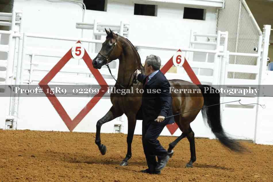 Proof 15R9_02269