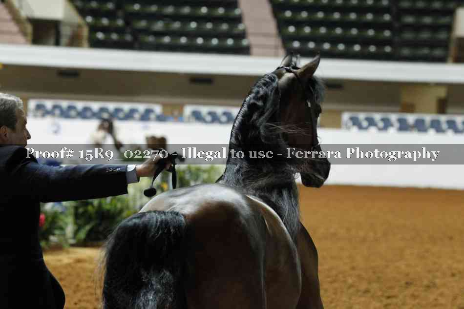 Proof 15R9_02270