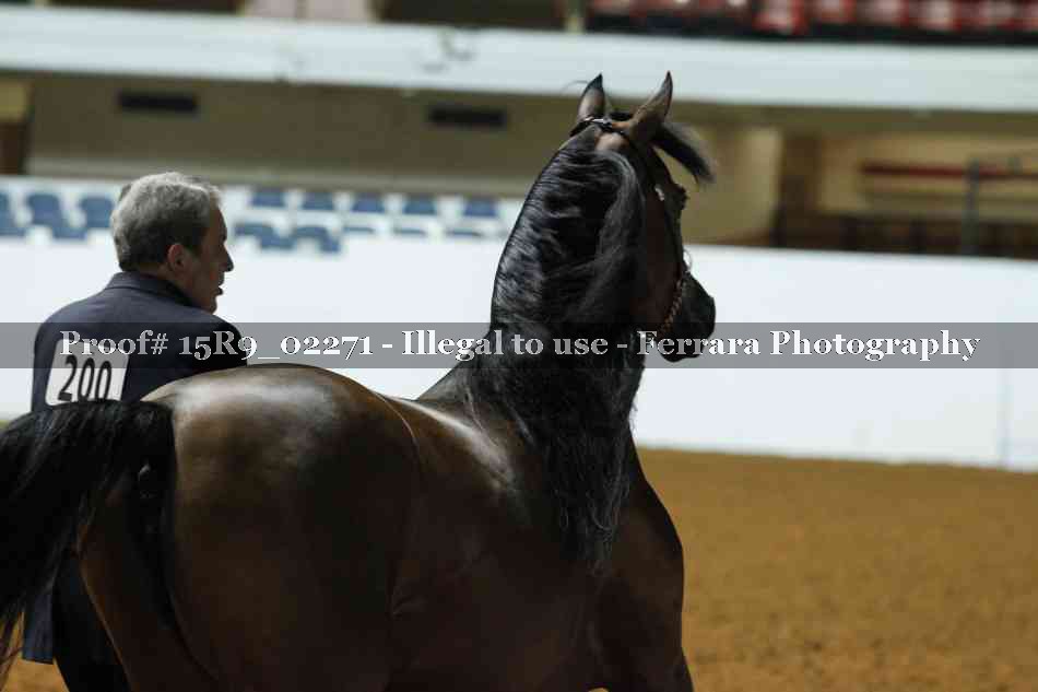 Proof 15R9_02271