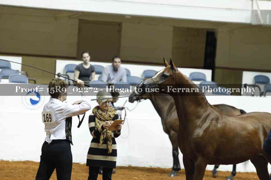 Proof 15R9_02272