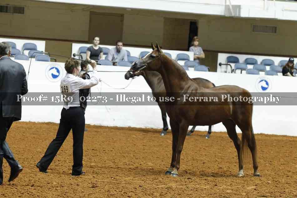 Proof 15R9_02273