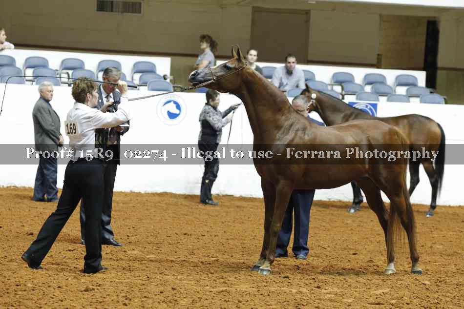 Proof 15R9_02274