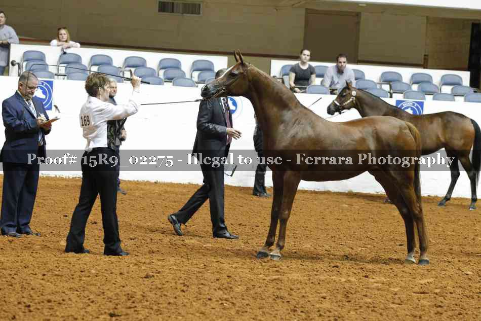 Proof 15R9_02275