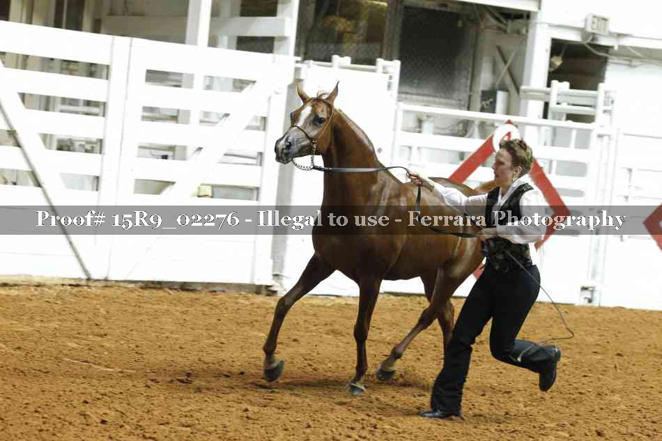 Proof 15R9_02276