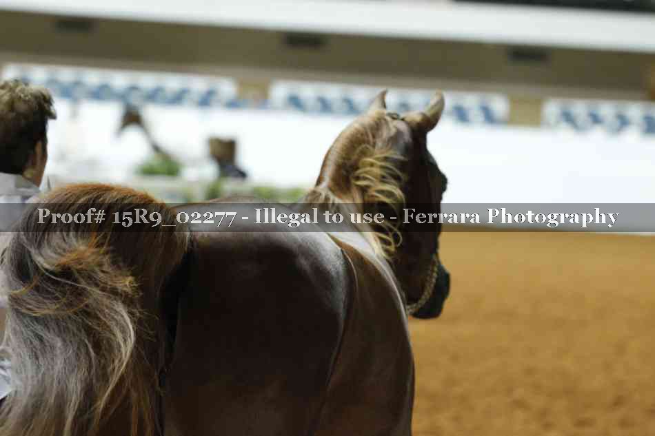 Proof 15R9_02277