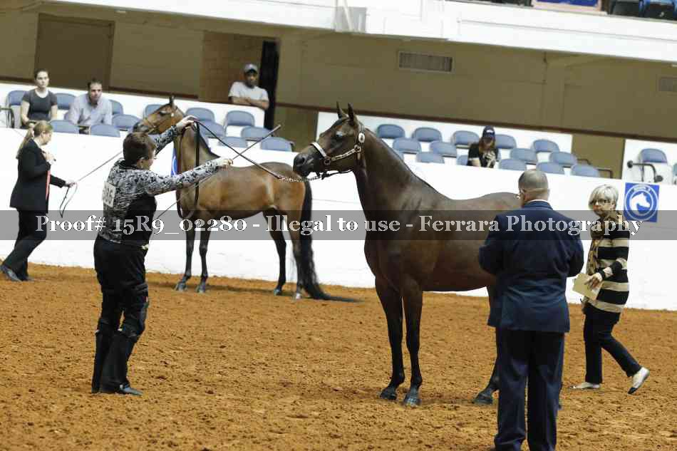Proof 15R9_02280