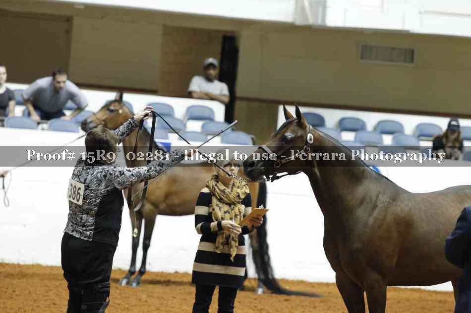 Proof 15R9_02281