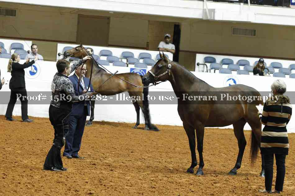 Proof 15R9_02282